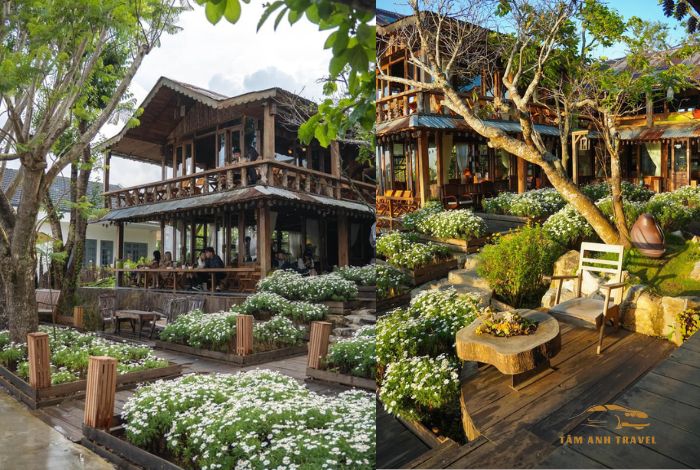 Cafe bình minh ơi Đà Lạt - Chốn thiên đường săn mây cực chill
