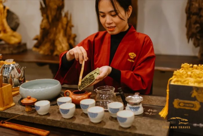 Bảo tàng Trà Long Đỉnh - Tìm hiểu nghệ thuật pha trà