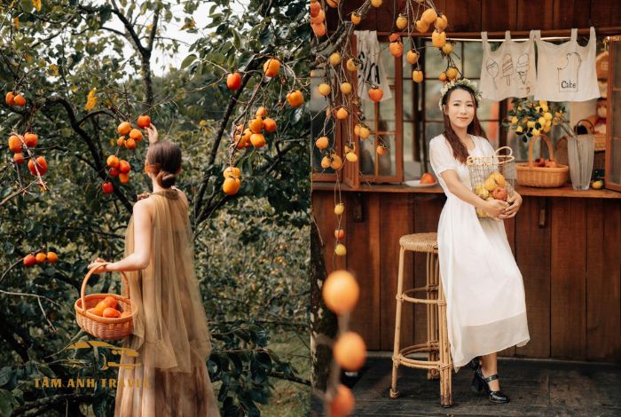 Cà phê vườn hồng Đà Lạt