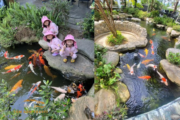Cafe cá koi Đà Lạt phong cách Nhật Bản