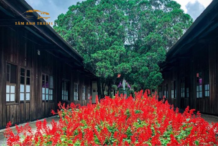 1001 góc check-in sống ảo tại Chủng Viện Minh Hòa Đà Lạt