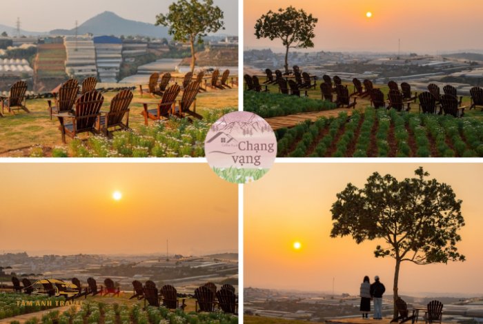 Chạng Vạng Coffee Đà Lạt với view hoàng hôn lãng mạn