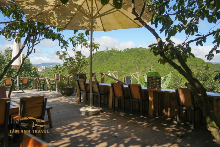 Review Cafe Persimmon Đà Lạt: Quán cà phê đẹp Đà Lạt