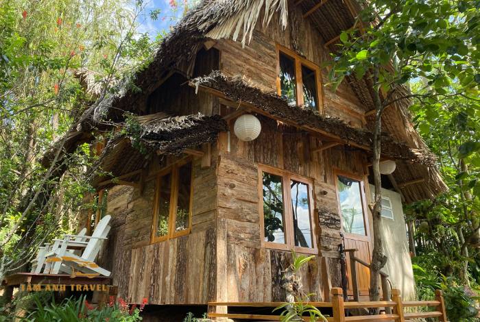 TOP 15 homestay trung tâm Đà Lạt giá rẻ, cực tiện nghi