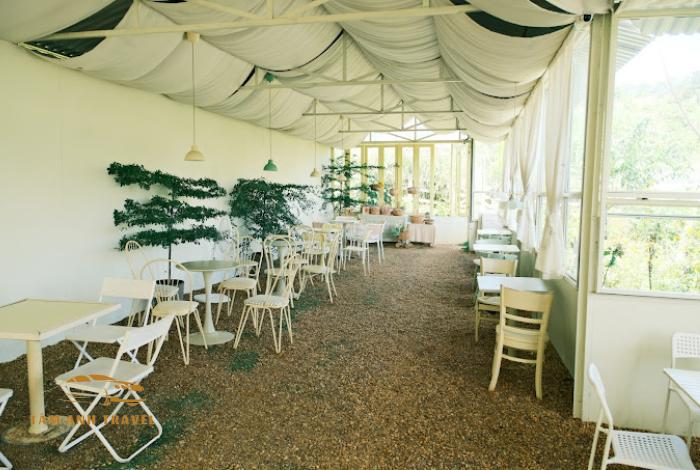 Khám phá JJu Coffee Đà Lạt: Quán cà phê Hàn Quốc thơ mộng