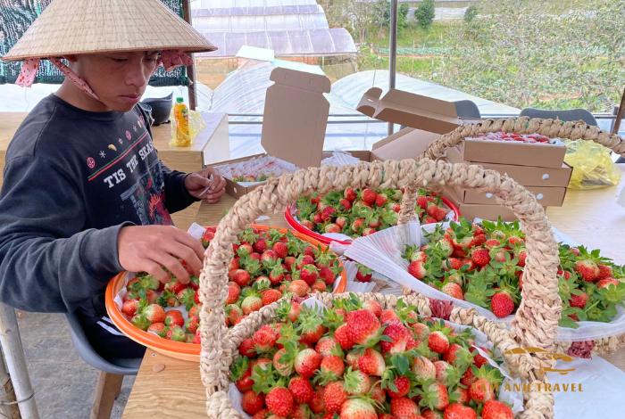 Nông trại cún Thung lũng Gâu: Quán cafe thú cưng dễ thương