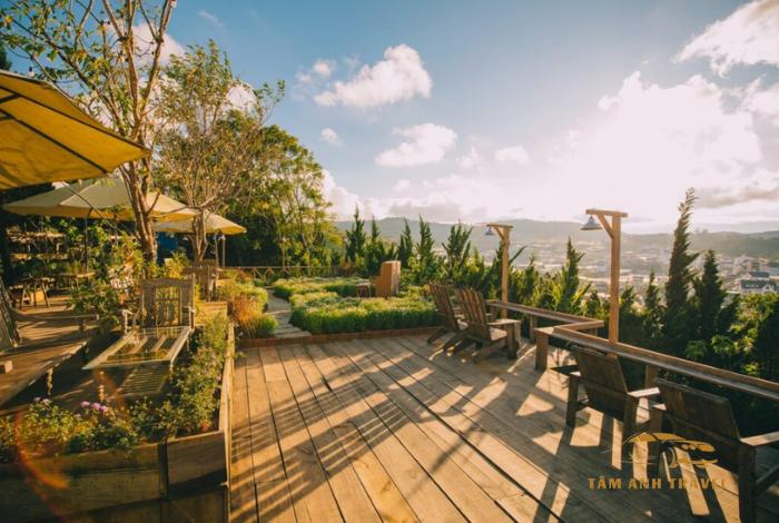 Nông trại cún Thung lũng Gâu: Quán cafe thú cưng dễ thương