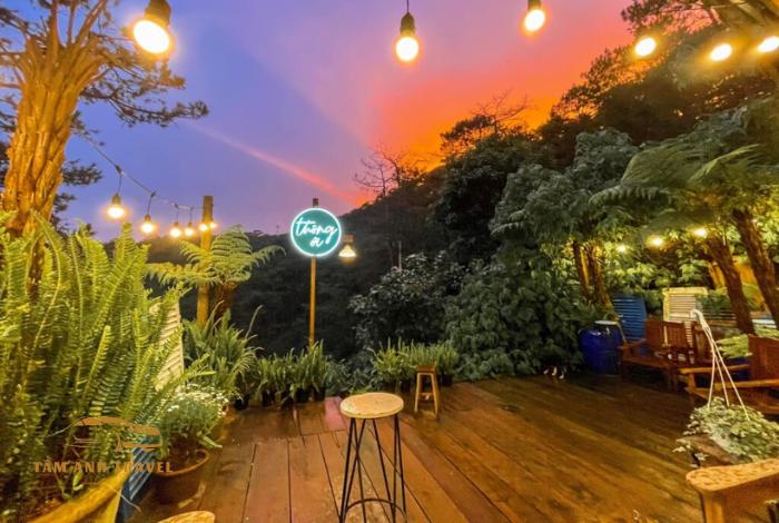 TOP 15 quán cafe view rừng thông Đà Lạt siêu đẹp bạn đã biết