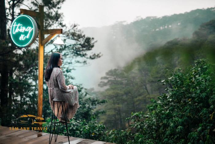 TOP 15 quán cafe view rừng thông Đà Lạt siêu đẹp bạn đã biết
