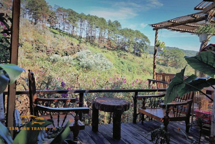 TOP 15 quán cafe view rừng thông Đà Lạt siêu đẹp bạn đã biết