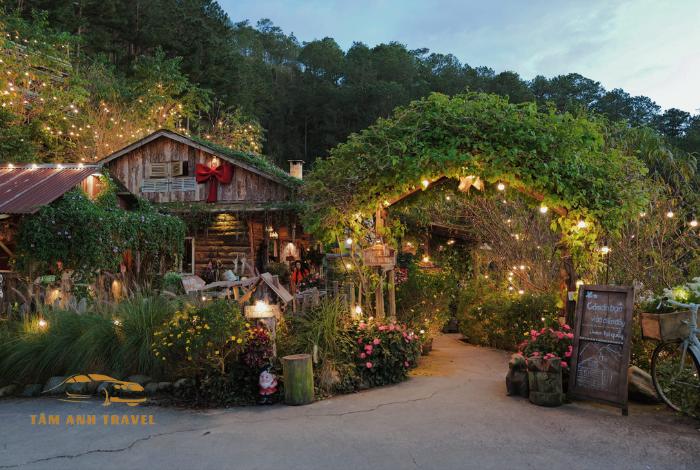 TOP 15 quán cafe view rừng thông Đà Lạt siêu đẹp bạn đã biết