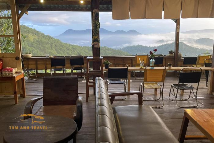 TOP 15 quán cafe view rừng thông Đà Lạt siêu đẹp bạn đã biết
