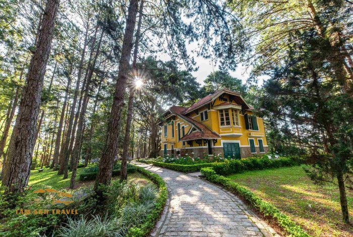 Đồi Thông Hai Mộ Đà Lạt