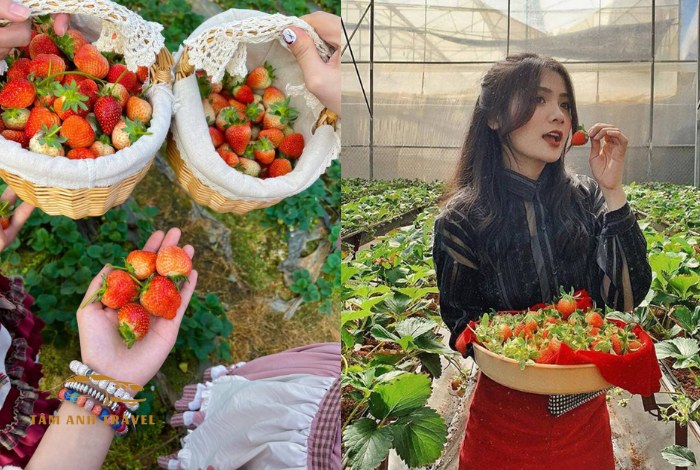 Du lịch Đà Lạt tháng 4 có gì đẹp?