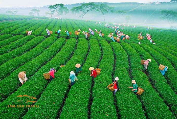 Du lịch Đà Lạt tháng 5: Đi đâu, ăn gì và trải nghiệm gì?