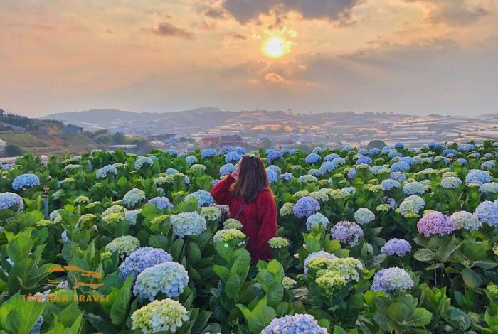 Du lịch Đà Lạt tháng 6 nên đi đâu, ăn gì?