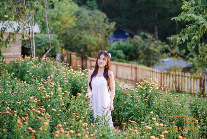 Làng Vũ Thị Đà Lạt - Địa điểm không thể bỏ lỡ khi đến Đà Lạt