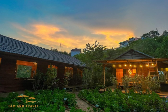 Mộc Trà Farm Đà Lạt: Có gì mà khiến dân tình check-in rần rần?