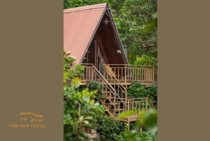 Mộc Trà Farm Đà Lạt: Có gì mà khiến dân tình check-in rần rần?