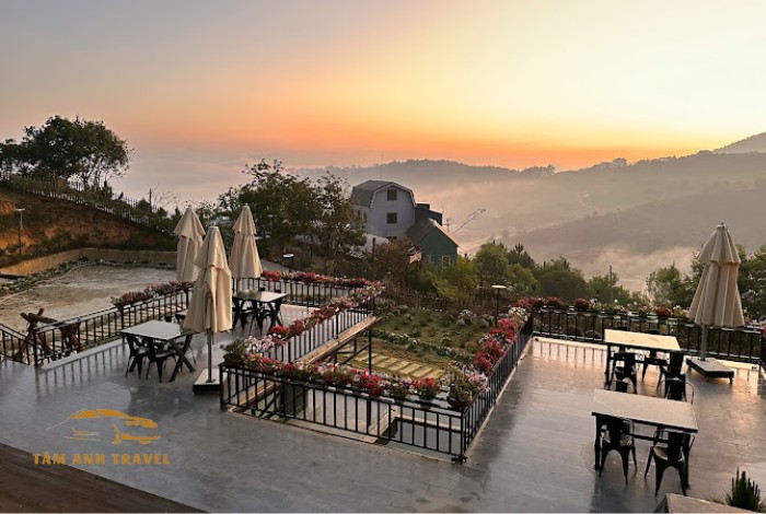 Mộc Trà Farm Đà Lạt: Có gì mà khiến dân tình check-in rần rần?
