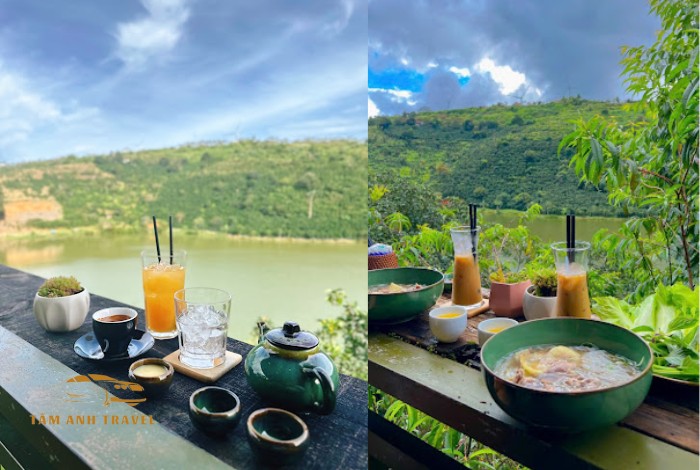 Mộc Trà Farm Đà Lạt: Có gì mà khiến dân tình check-in rần rần?