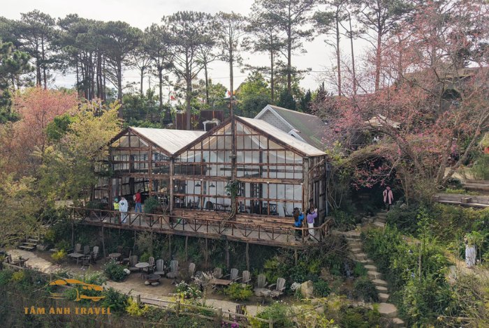 Natureside Đà Lạt: Check-in với bức tường Monstera