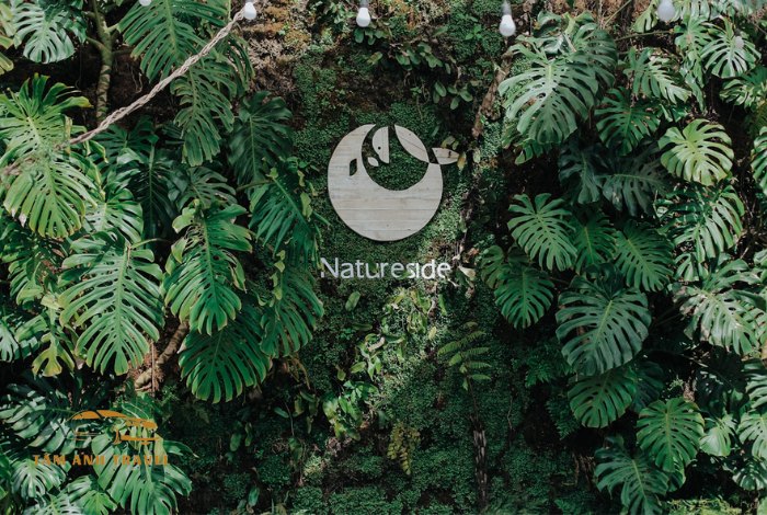 Natureside Đà Lạt: Check-in với bức tường Monstera