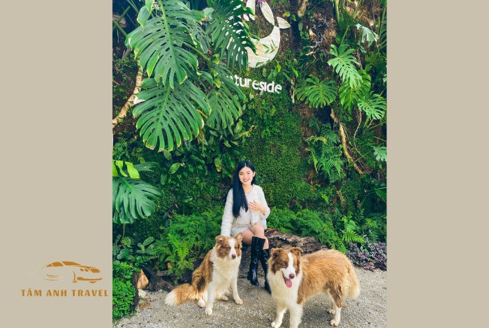 Natureside Đà Lạt: Check-in với bức tường Monstera