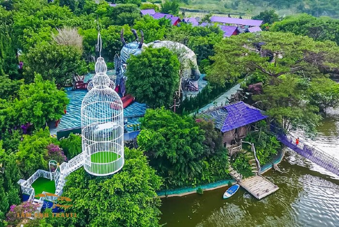 Pini Đà Lạt có gì hấp dẫn?