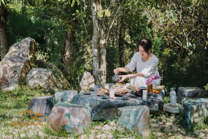 Pini Đà Lạt có gì hấp dẫn?