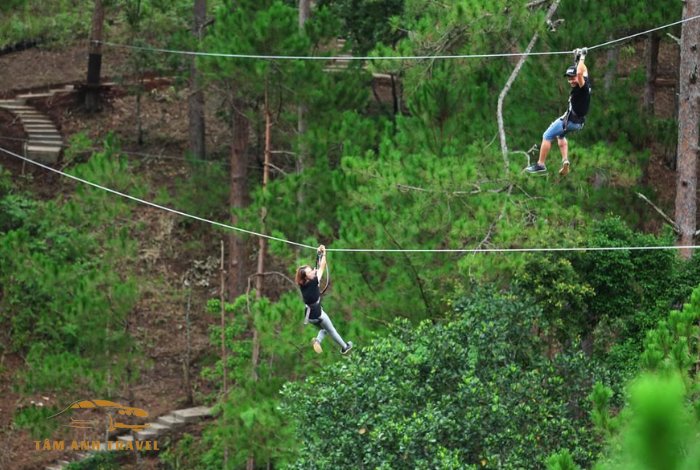 TOP 2 địa điểm chơi Zipline Đà Lạt