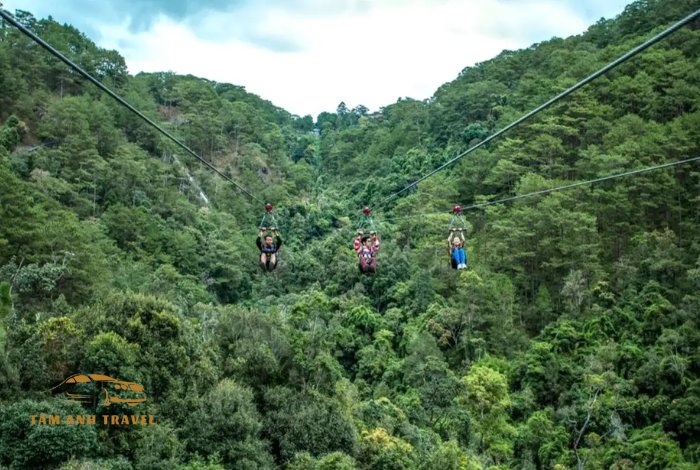 TOP 2 địa điểm chơi Zipline Đà Lạt