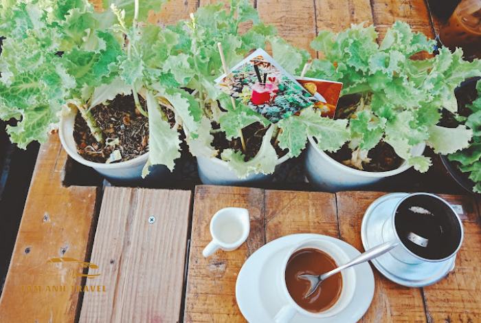 Review An Cafe Đà Lạt - Quán cafe view đẹp, ngon nhất