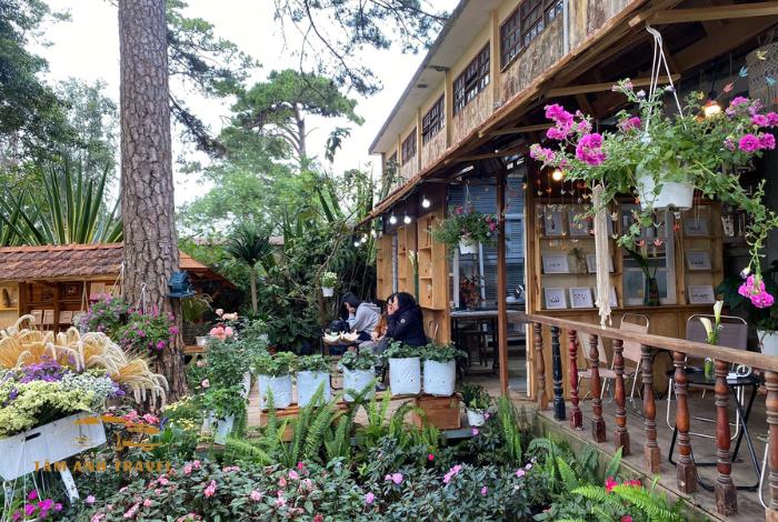 Cafe Lặng Art Đà Lạt - Nơi lan toả trái tim yêu thương