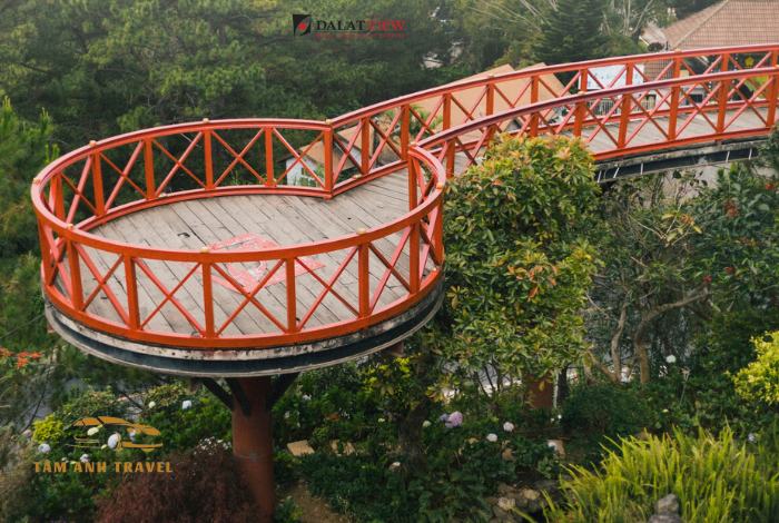 Đến Đà Lạt View thả ga vui chơi - View đẹp, chill hết nấc