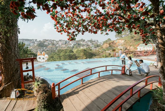 Đến Đà Lạt View thả ga vui chơi - View đẹp, chill hết nấc