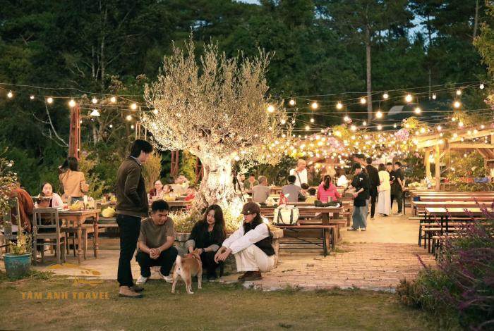 Đến nhà hàng Túi Mơ To tận hưởng không khí trong lành