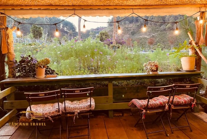Đến Em Tà Nung Coffee Farm chill về cuộc sống bình yên