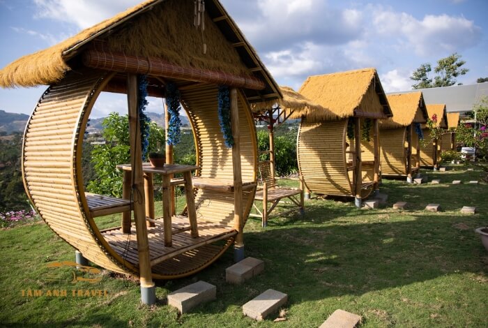 Review Làng Thỏ Little Hobbiton cực đáng yêu tại Đà Lạt