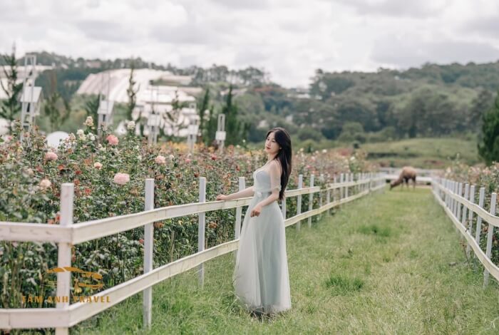 Thung Lũng Hồng Đà Lạt - KDL sinh thái đa dạng dịch vụ