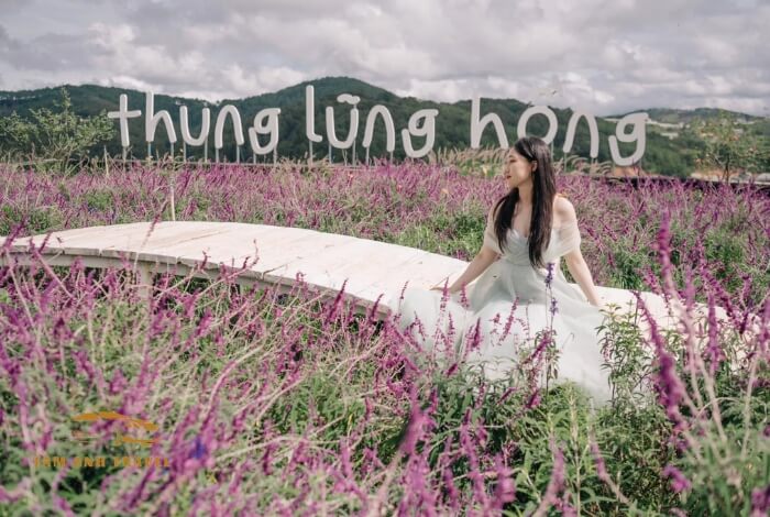 Thung Lũng Hồng Đà Lạt - KDL sinh thái đa dạng dịch vụ