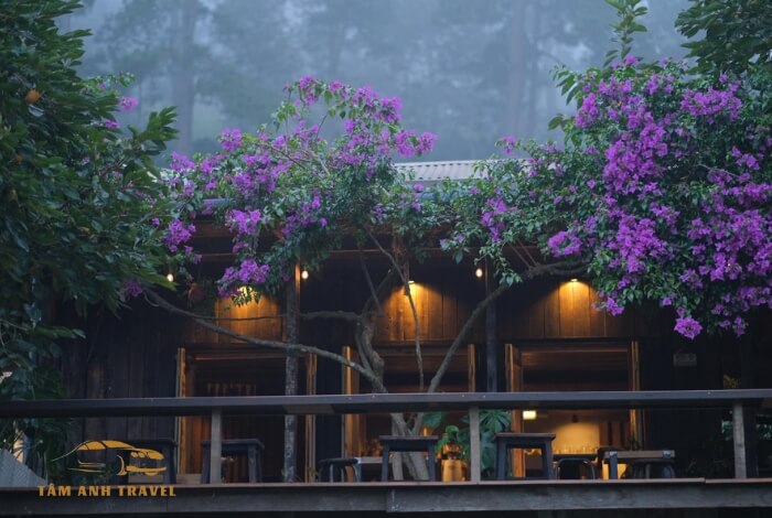 Tiệm cà phê Nắng Thuỷ Tinh - Quán cafe chữa lành Đà Lạt