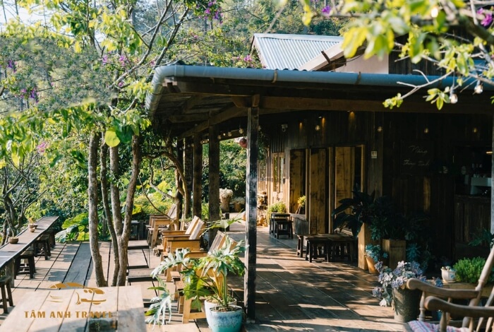 Tiệm cà phê Nắng Thuỷ Tinh - Quán cafe chữa lành Đà Lạt