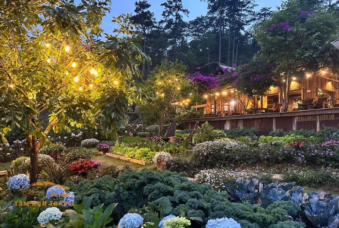 Tiệm cà phê Nắng Thuỷ Tinh - Quán cafe chữa lành Đà Lạt