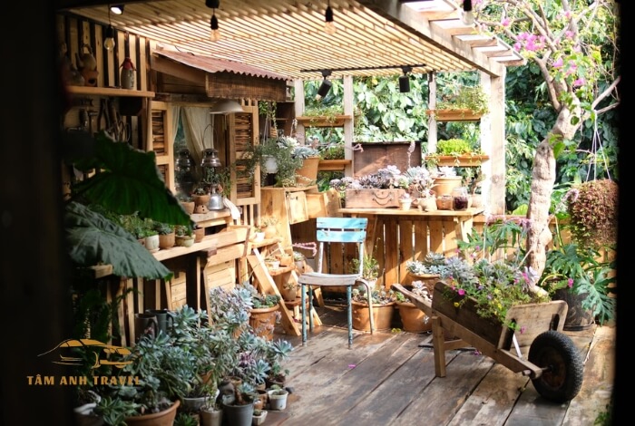 Tiệm cà phê Nắng Thuỷ Tinh - Quán cafe chữa lành Đà Lạt