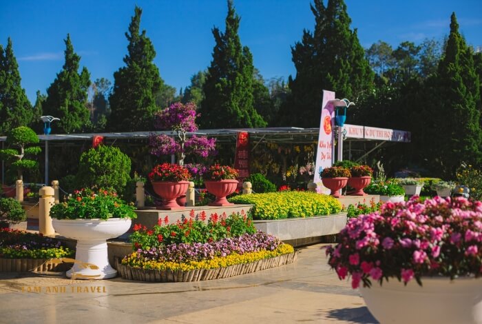 Tham quan Vườn hoa thành phố Đà Lạt mê mẩn muôn vàn sắc hoa