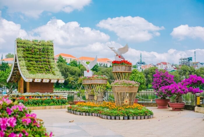 Tham quan Vườn hoa thành phố Đà Lạt mê mẩn muôn vàn sắc hoa