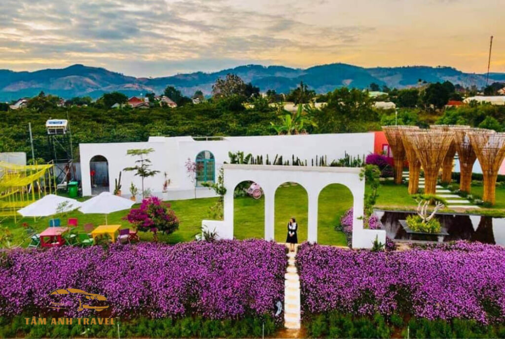 Đến Azulik Hill Đà Lạt ngắm bình minh và hoàng hôn cực chill