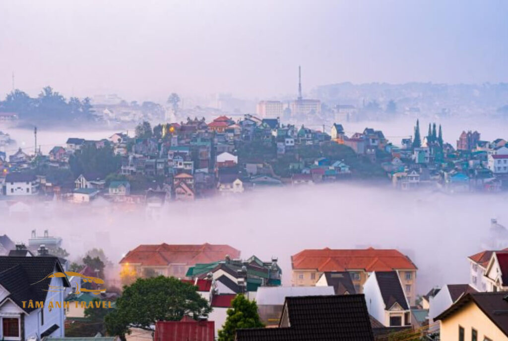 Khám phá Đồi Ngô Quyền Đà Lạt - Cảnh đẹp chill từ sáng