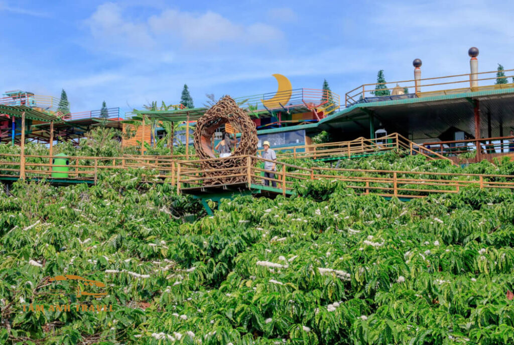 Review Mê Linh Coffee Garden ngắm cảnh đẹp Đà Lạt